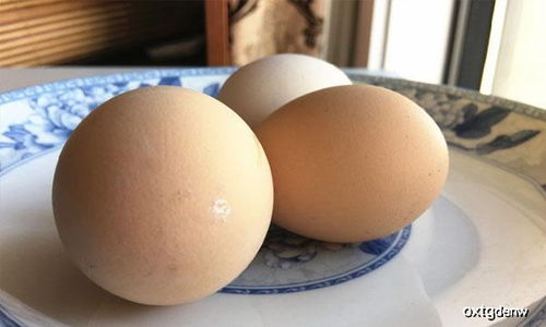 吃生鸡蛋对身体好不好 生鸡蛋有什么营养价值 是时候了解清楚了