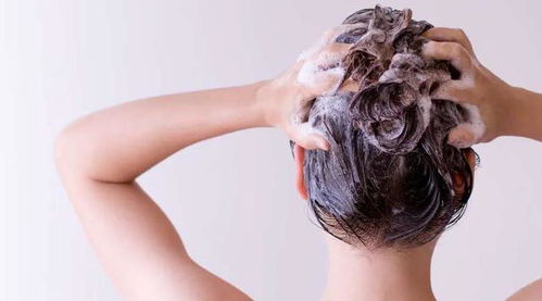 经常洗头发容易导致脱发 到底该早上洗头还是晚上洗头 一文说清