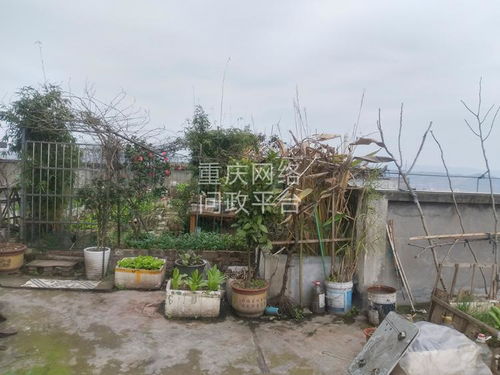 高层建筑楼顶种菜养鸡鸭养鱼,请问该由那个部门管