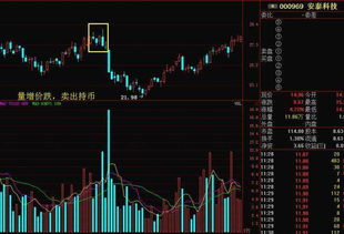 顺势趋势必涨第一讲，怎么样买到未来一定会涨的股票