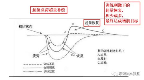 健身真的能延缓衰老吗