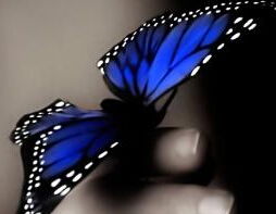做梦梦见蓝色蝴蝶是什么意思 周公解梦 