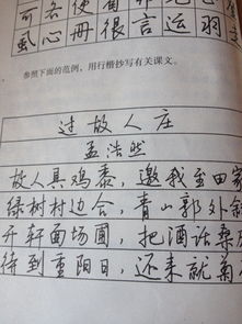 聊聊书法字作文