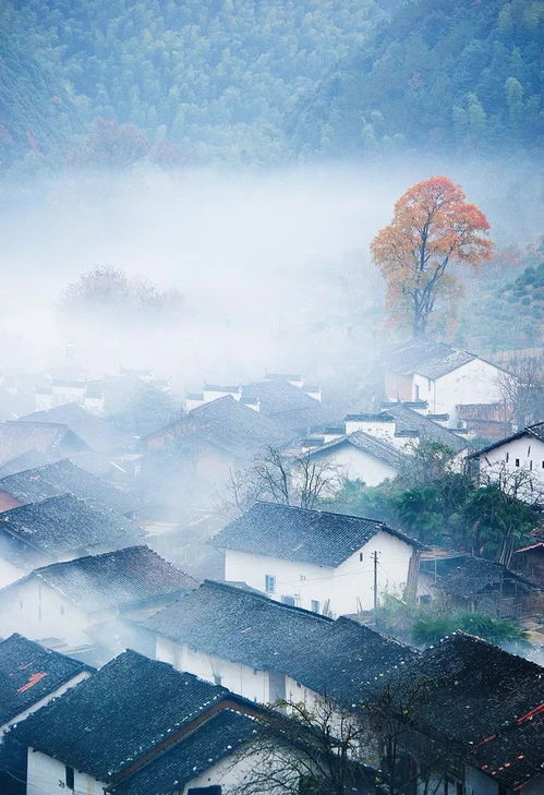 冬天终会过去,佳木斯纵横国旅将蓄势待发,与所有纵横的老朋友一起迎接春暖花开时