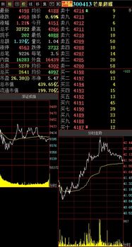 拟每10股派0.8元什么意思