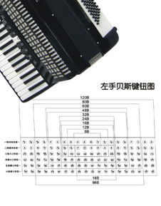 手风琴左手指法图（手风琴左手指法图讲解）