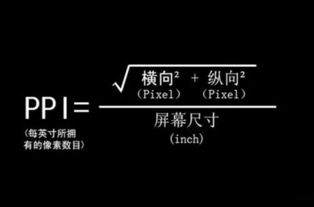 p表示啥意思,理解“P”。 p表示啥意思,理解“P”。 NTF