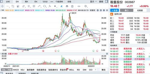 2022年升幅最大的股票,688478）