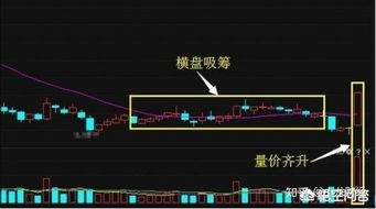 线和短线的区别：长线和短线有何区别