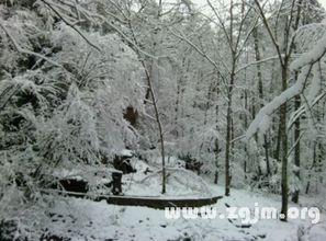 梦见山区下大雪