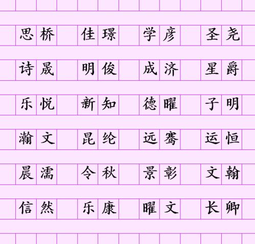 泺取名字的意思