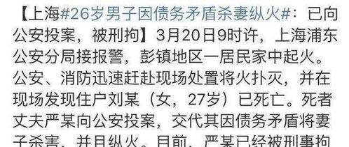 上海26岁富二代欠400万赌债杀孕妻 被豪门收养,浇汽油一尸两命