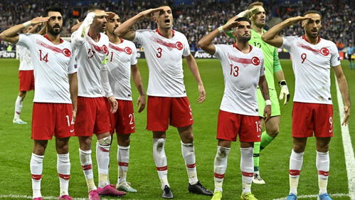 土耳其欧洲杯,欧洲杯半决赛中，土耳其能战胜德国吗？