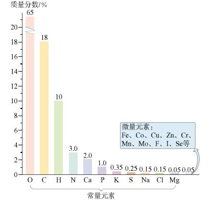 人体中含量最多的物质 