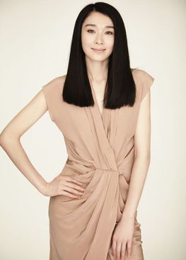 陈丽娜主演过的电视剧,引用:莉娜?陈的演艺生涯。