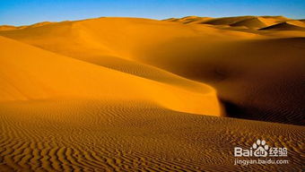塔克拉玛干沙漠旅游,探秘塔克拉玛干沙漠