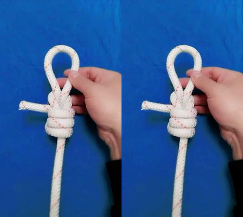 多功能的锚结,日常生活中最常用的绳结 