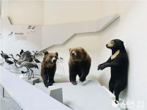 全国首个以大河生命为主题的自然博物馆将在汉开馆 