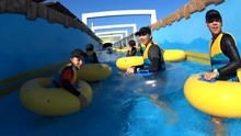 韩国海洋世界水上乐园 旅游 高清正版视频在线观看 