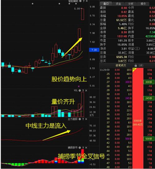 股票跌掉的钱都去哪了