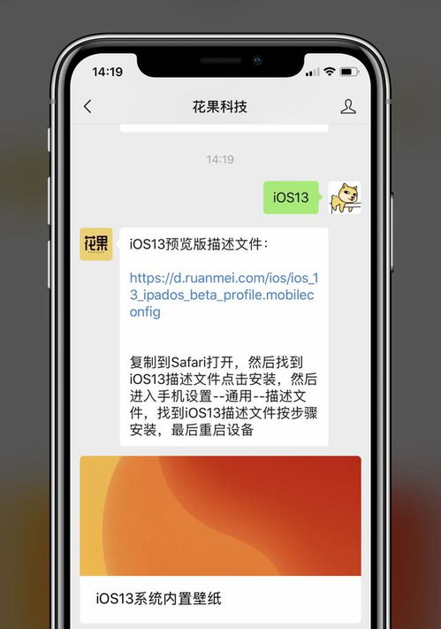 ios13公测版怎么降级,苹果如何从ios13退回ios12