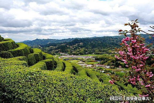 陕西汉中城固天明镇