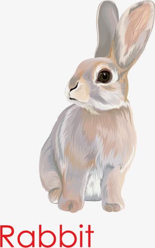 长耳朵兔子矢量图 平面电商 创意素材 兔子耳朵素材 