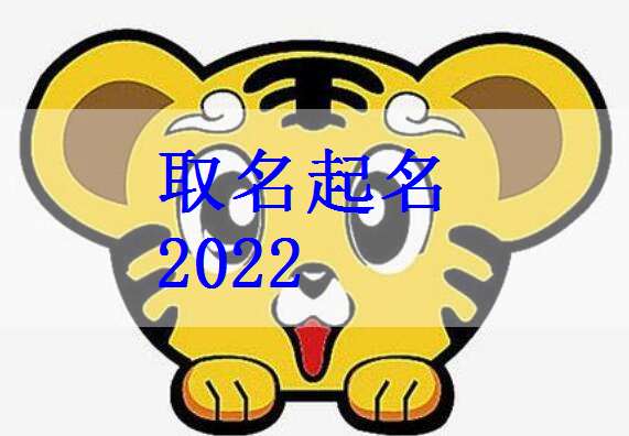 2022姓元的属虎男孩如何起名(2022年属虎宝宝起名字)