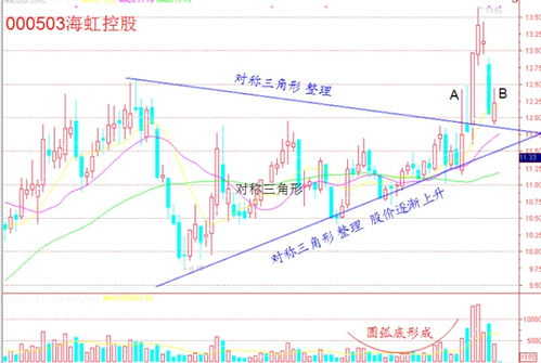 急求一款简单实用的炒股软件，朋友介绍华中智能预警系统，怎么样呢，适合新手吗？