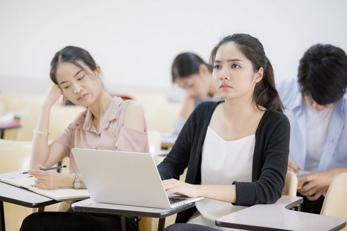 国际商务好吗女生学