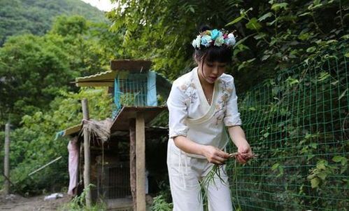 90后美女住山上茅草屋,穿古装直播自己种菜做饭,月入过万 