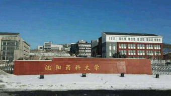 放弃211去沈阳药科大学值吗(沈阳药科大学本溪好吗)