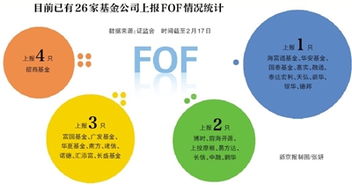 哪家基金公司有FOF