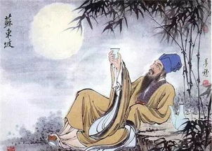 为什么说苏轼是摩羯座的 为什么说苏轼是摩羯座的老师