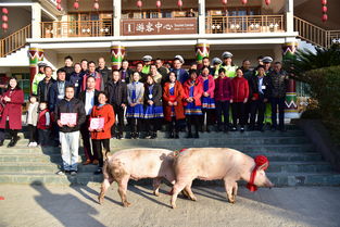 农场推一晚8888元“猪景房”：已累计接待旅游人数120万余人次，实现营收1.2亿元