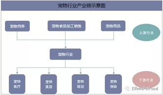 2019年中国宠物行业发展现状分析,宠物行业前途一片光明