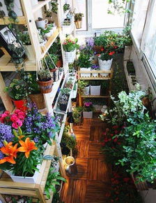 好养的绿植阳台,打造绿意盎然的阳台，这些绿植让你轻松成为园艺达人
