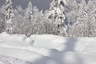 漠河,哈尔滨,雪乡,东北9日行 一个人的旅程,不孤单