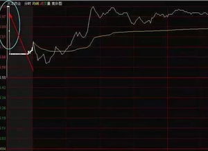 股票集合竞价中，能得到最大成交量的价格为开盘价格，这个价格怎么得出呢?