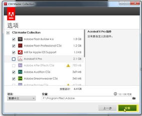 adobecs6大师版