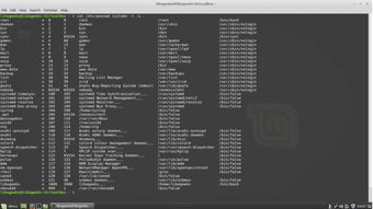 linux命令题目,Liux命令实战：掌握命令行，轻松驾驭Liux系统！