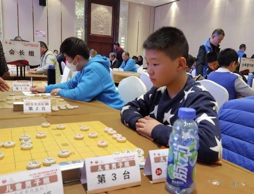 泰州棋手在全国业余棋王赛江苏省决赛中荣获1金 1银 2铜