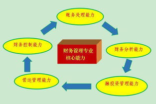 财务会计类包括哪些专业,财会类专业包括什么