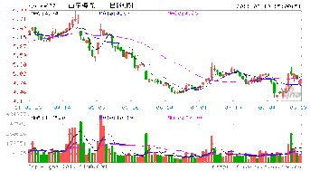 山东海龙的股票代码是多少