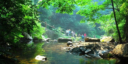 梨木台门票,梨木台自然风景区有学生票吗?-第3张图片