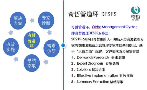 上海奇哲咨询 企业管理咨询的价值和作用是什么