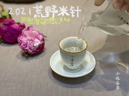 村姑陈珍藏的白茶基础分类 新茶 陈茶 老茶,都是什么意思