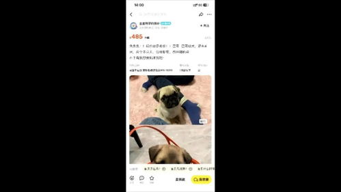 萍乡市民在微信上买狗 付了买狗的钱却没收到狗