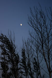 今夜什么舟夜——探寻深邃的诗意与远方，今夜什么州夜