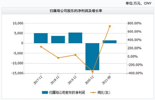 大公司的股份是怎么回事？